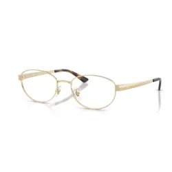 Ray-Ban 0RX3774VD 2993